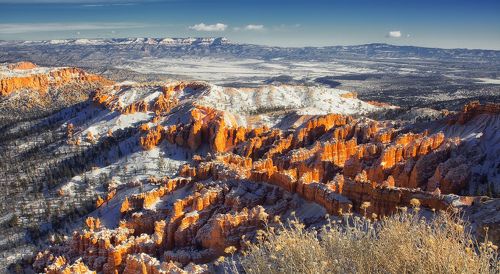 Рыжие морозы