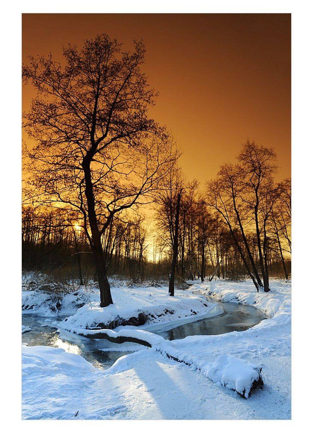 , Попов Николай