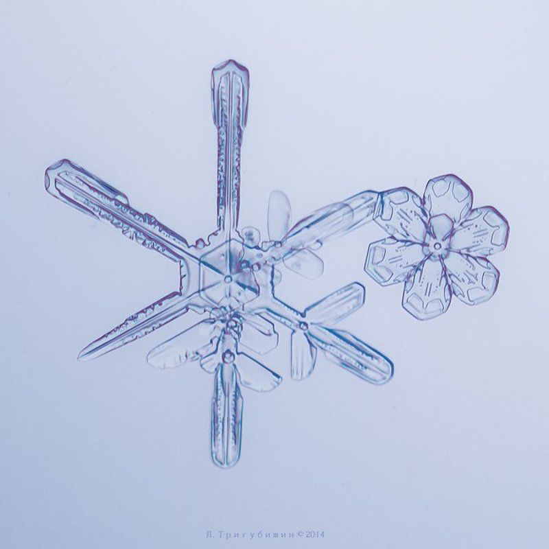 Снежинки фото превью