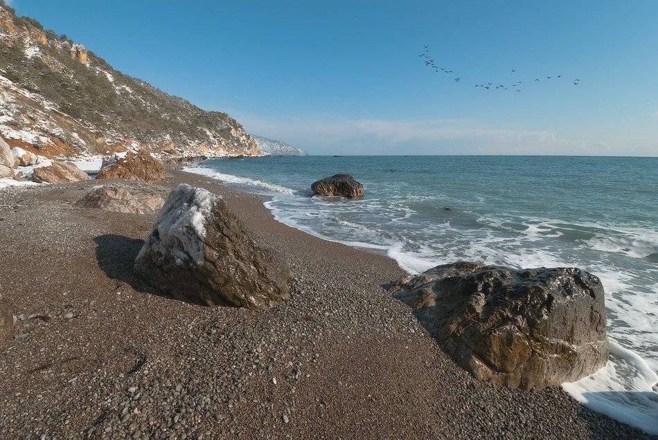 , Саша  Вайсберг / Waldschnepfe /