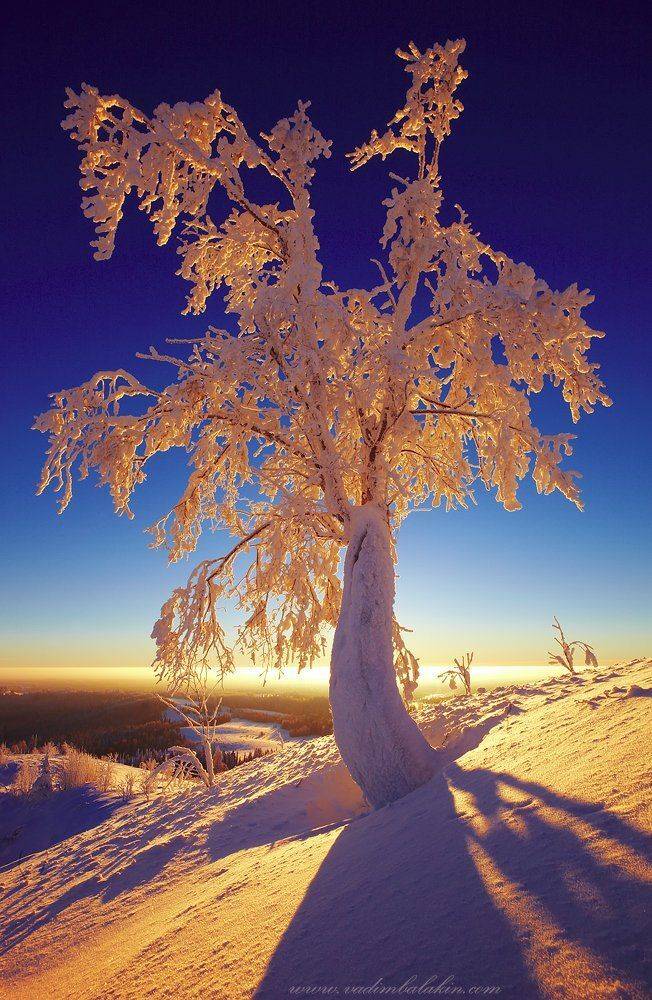 белая гора, дерево, зима, пейзаж, урал, Вадим Балакин