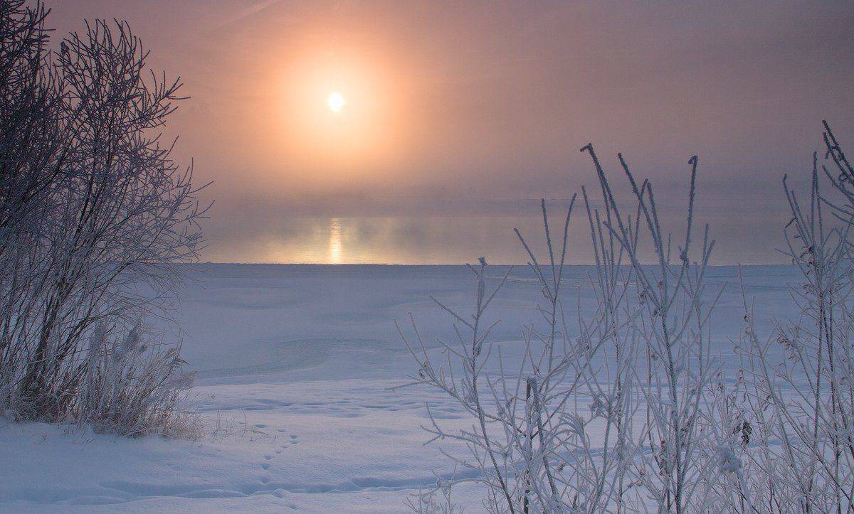 , Николай Морский