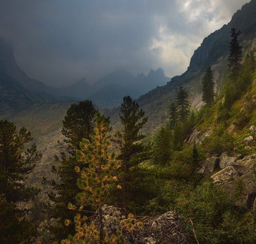 Пред дождичком, в четверг