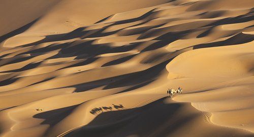 THE LONG AND  WINDING ROAD