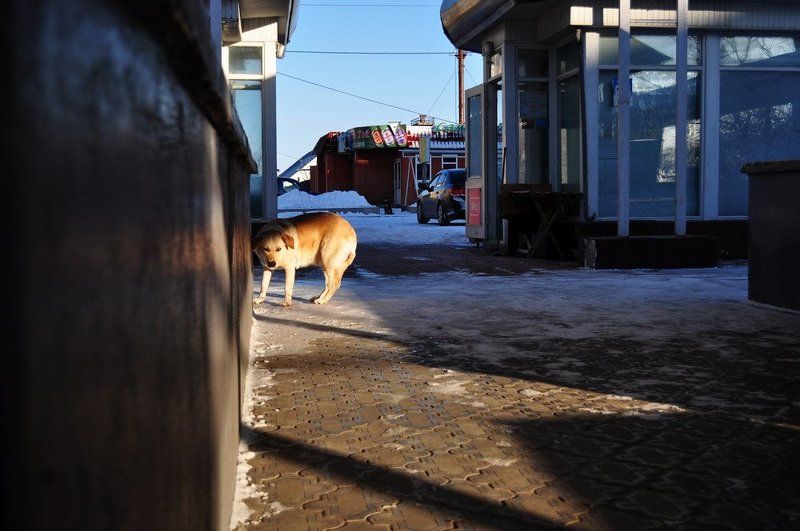 ... фото превью