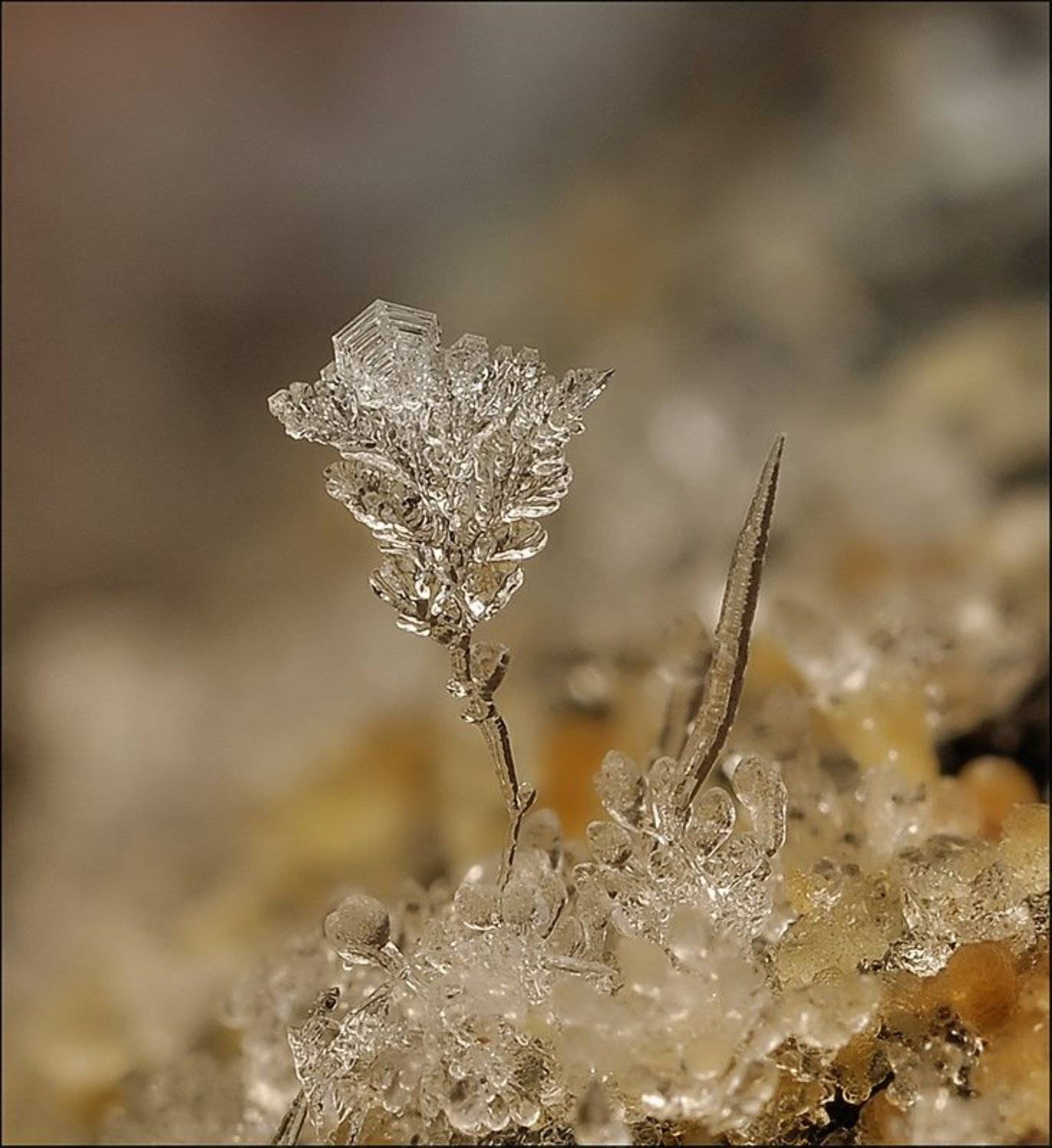 , Андрей Осокин