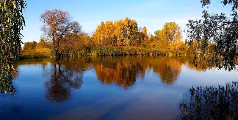 *** фото превью