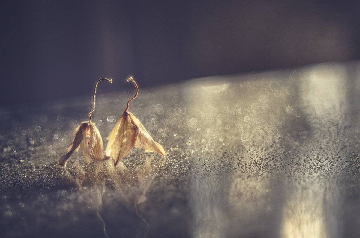 , Татьяна Аверина