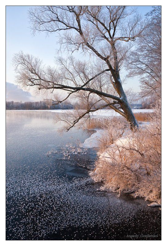 *** фото превью