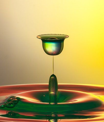 liquid tulip