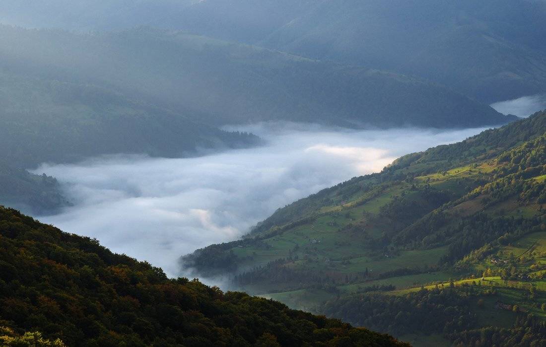 , Ярослав Тюрменко (Jaremi)