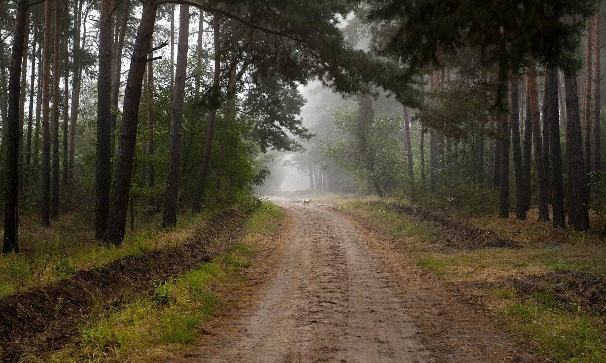 , Валерий Смирнов