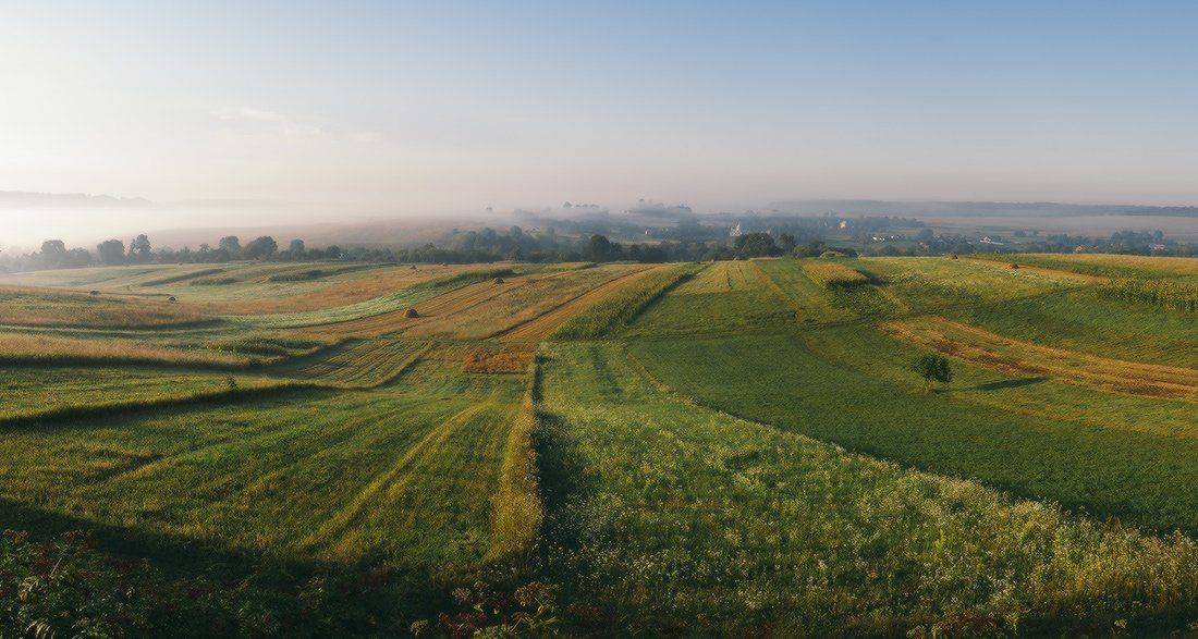 , Ярослав Тюрменко (Jaremi)