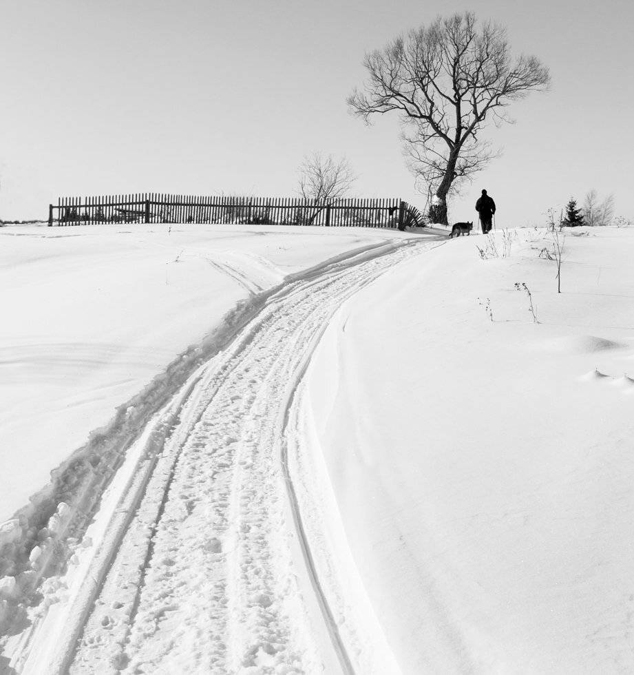 , Людмила Прокофьева