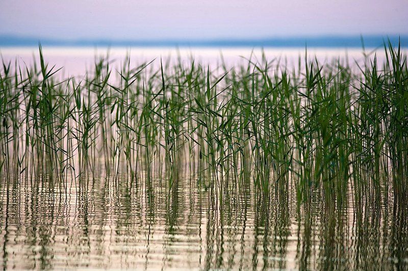 природа, nature, landscape, evening, sunset Вечер самого длинного дня в году фото превью