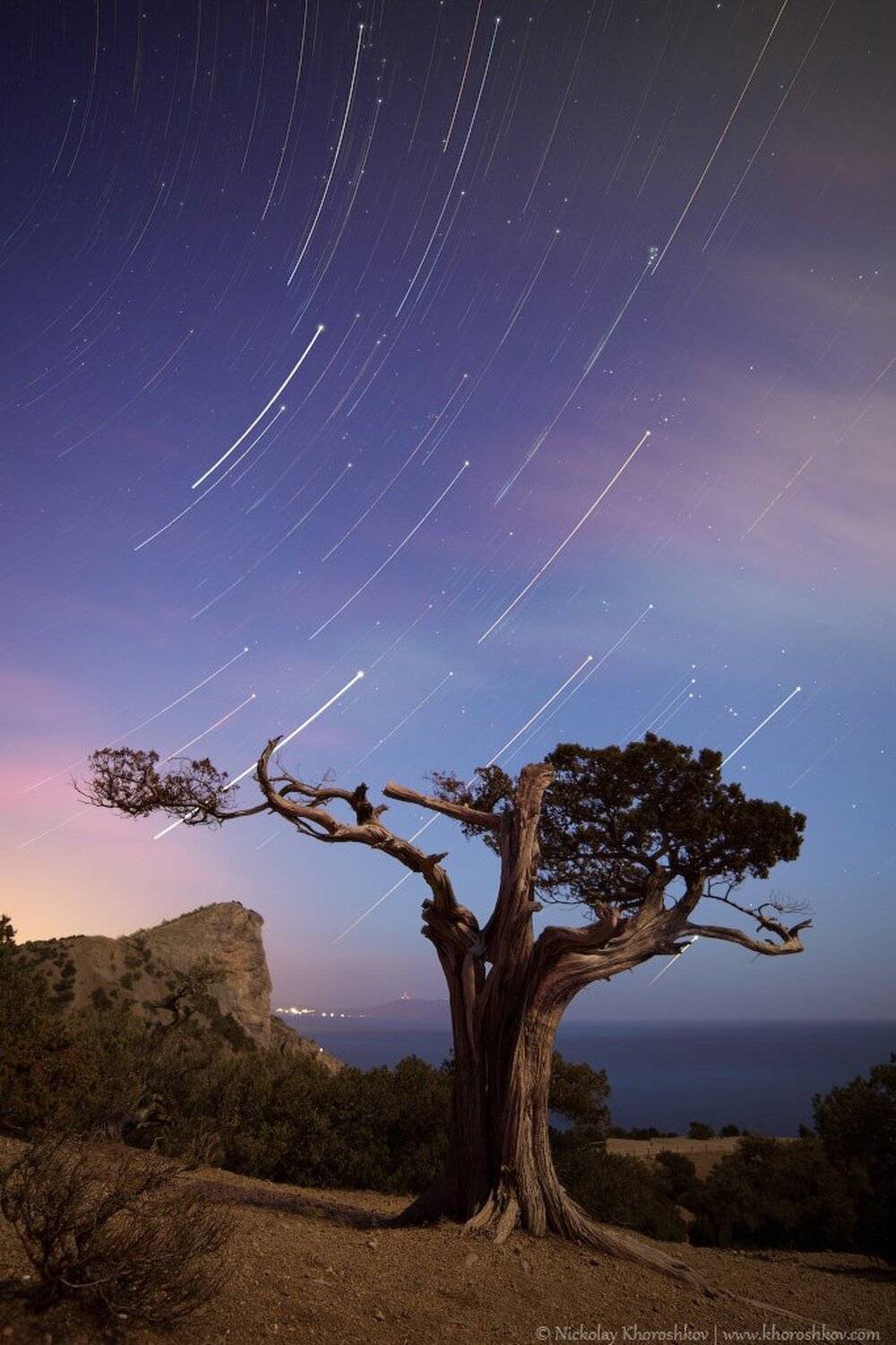 , Николай Хорошков