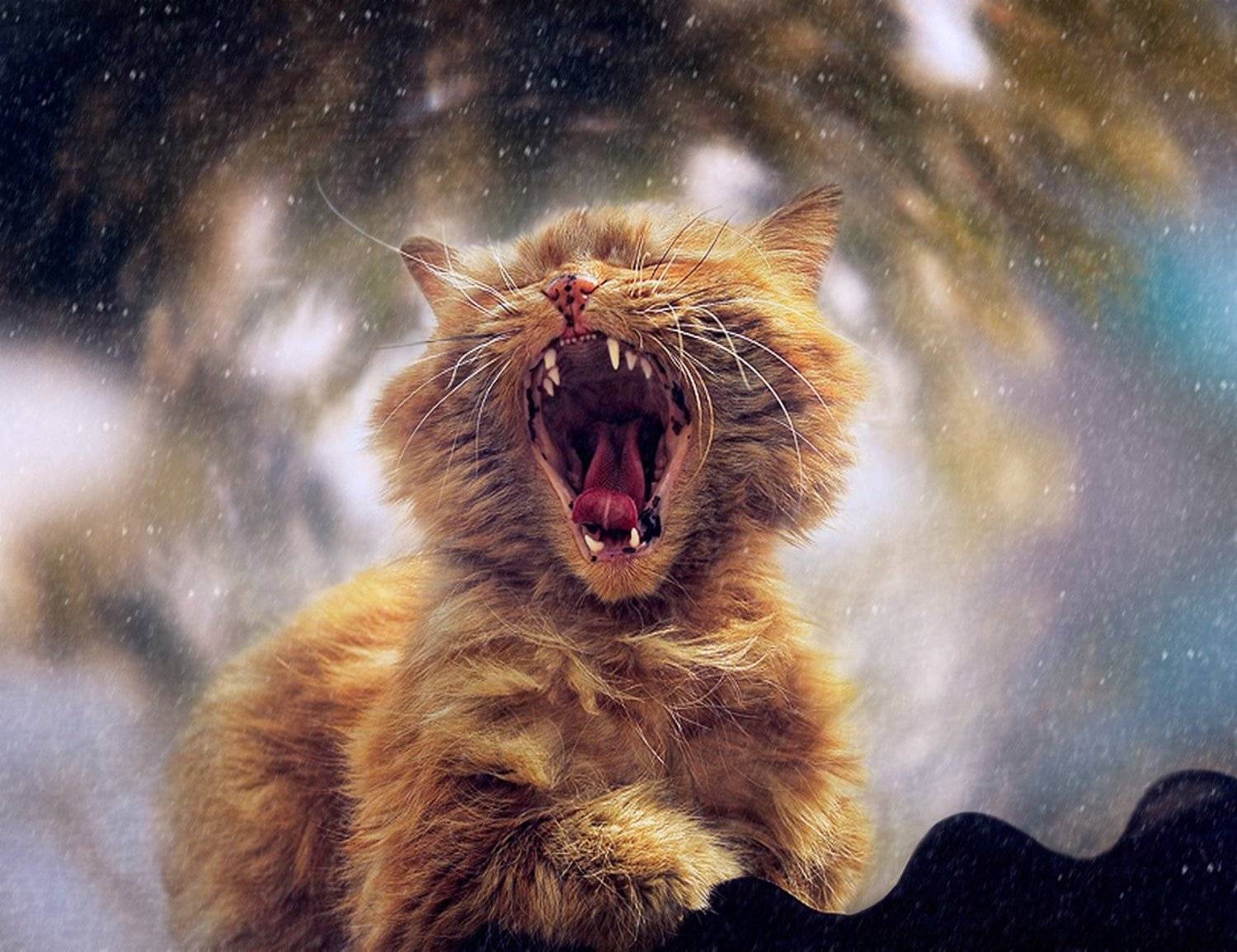 , Светлана Мелик-Нубарова