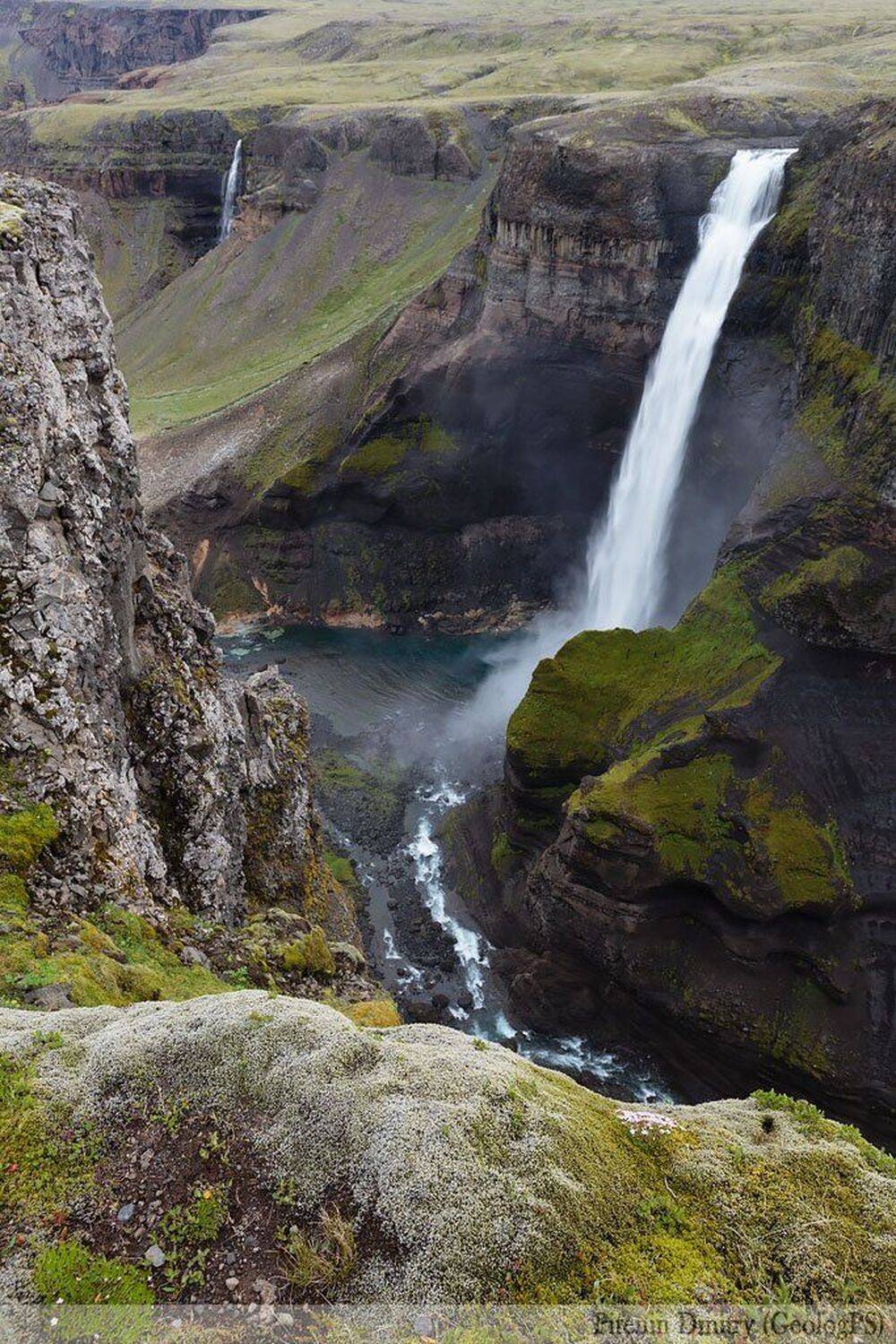 , Питенин Дмитрий