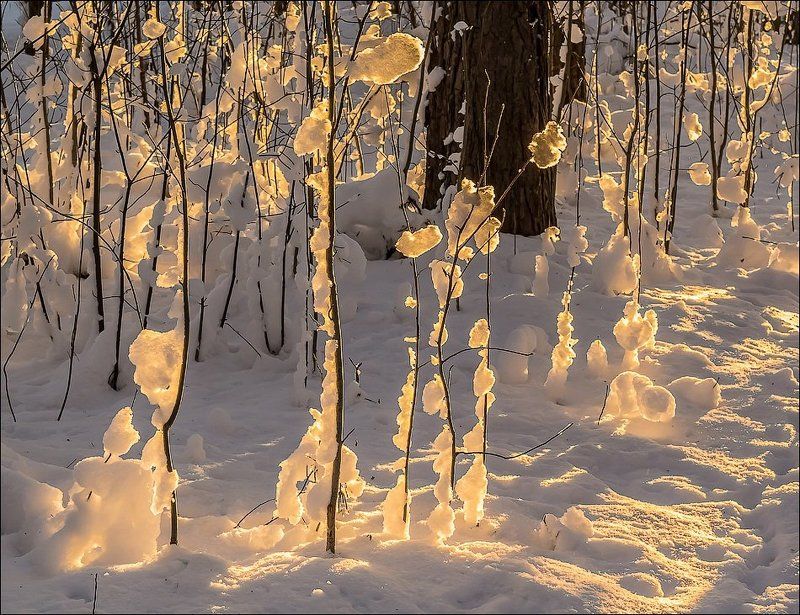 Скоро весна)) фото превью