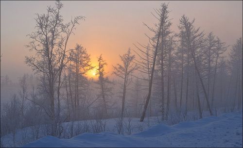-47C