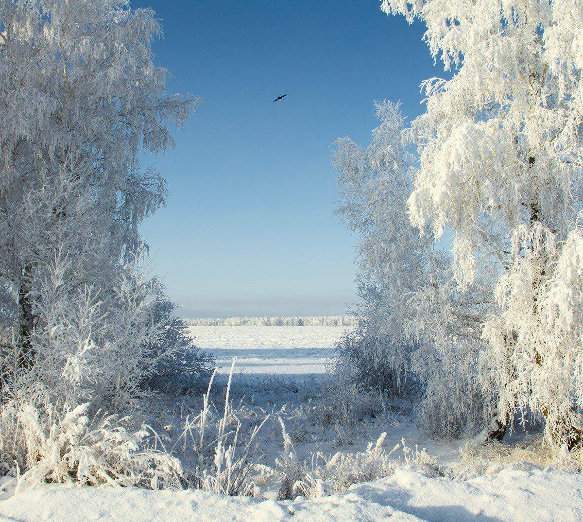 , Николай Морский