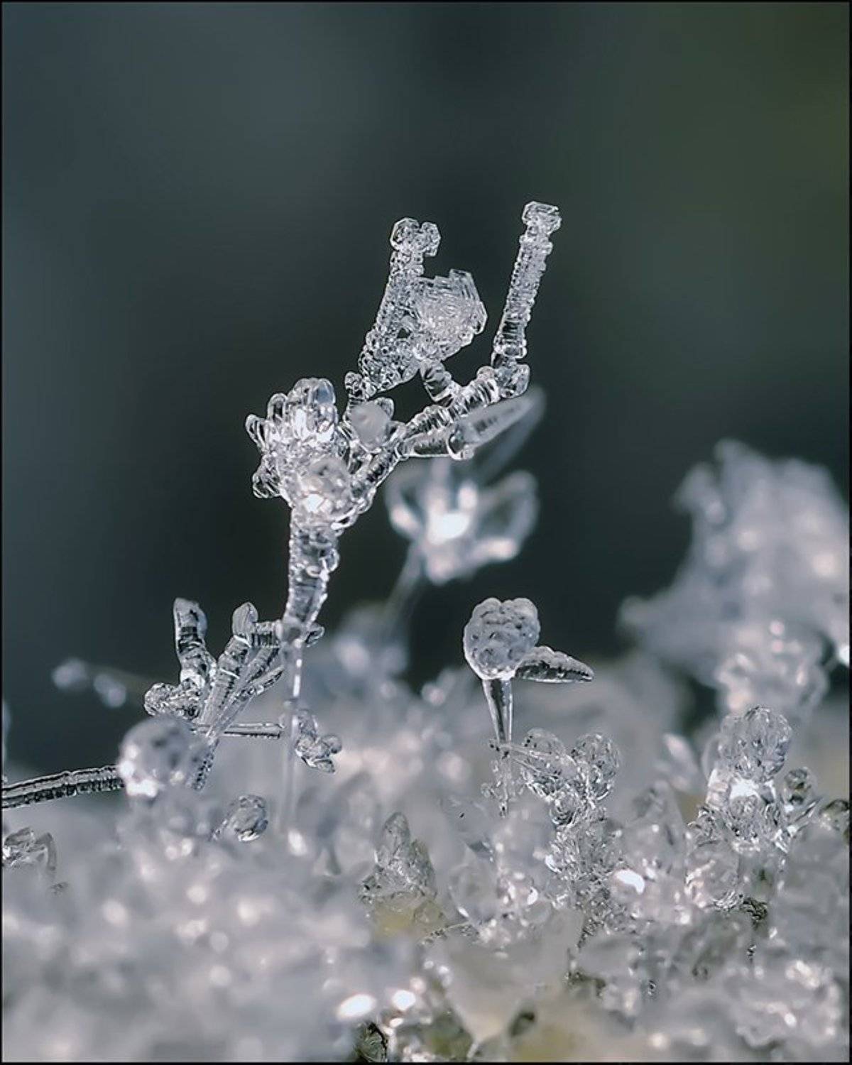 , Андрей Осокин