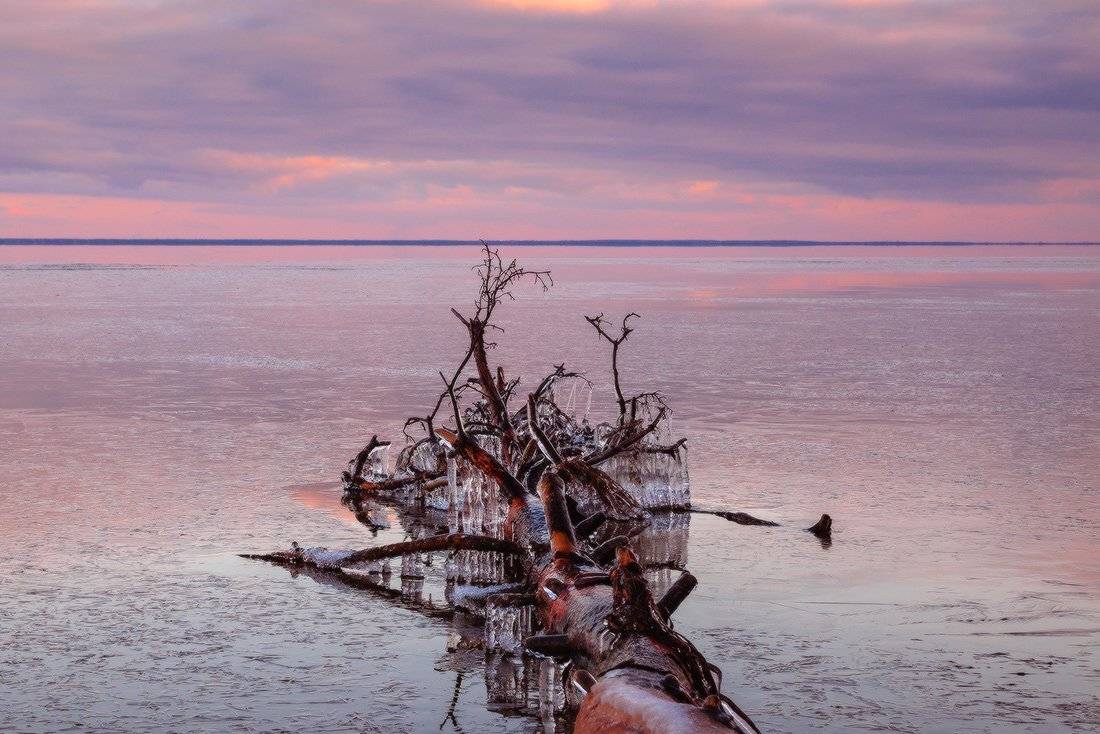 , Ярослав Тюрменко (Jaremi)