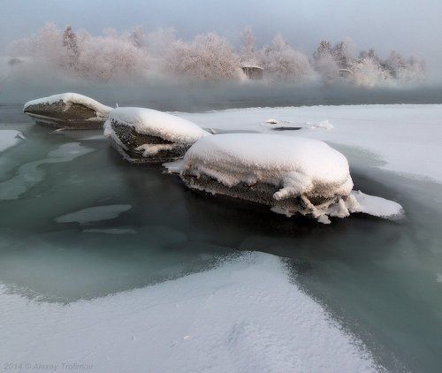 Тётушка Фэн и дядюшка Шуй