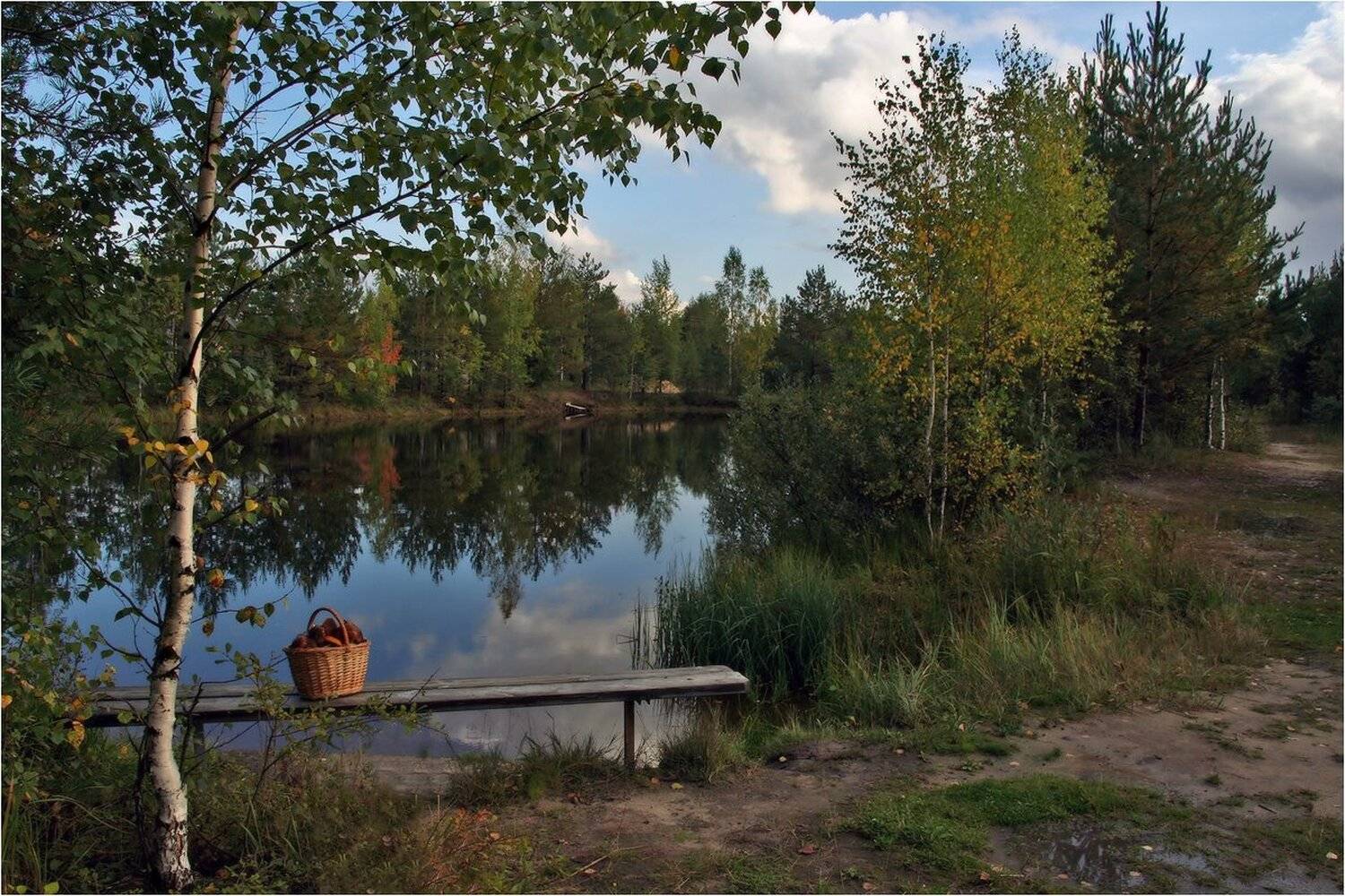 , Сергей Никсон