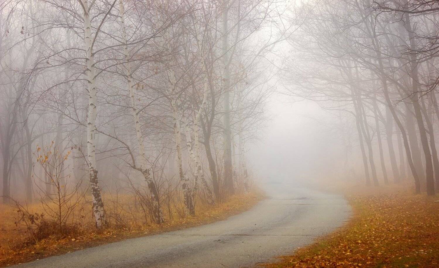 , Ирина Костова