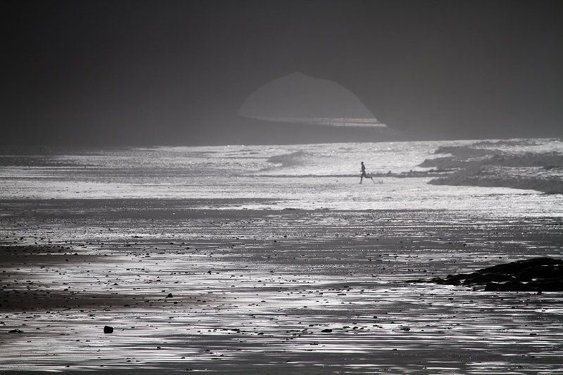 Rabbit, Run фото превью