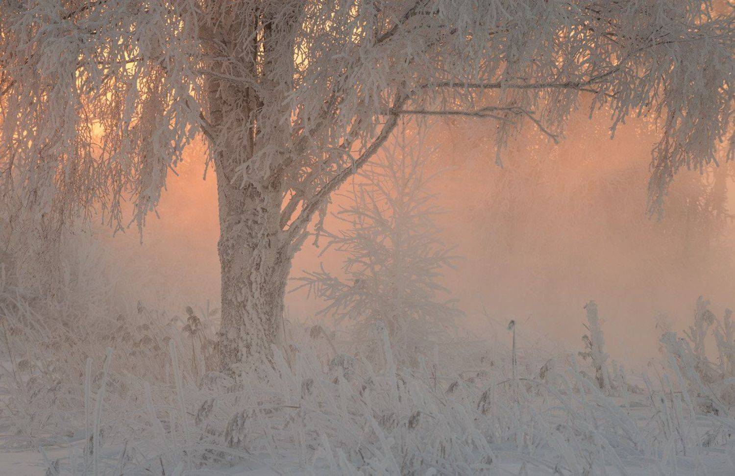 , Александр Гоголин