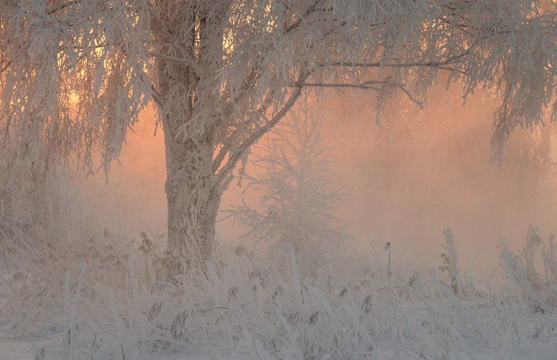 Про нежность зимнего утра фото превью
