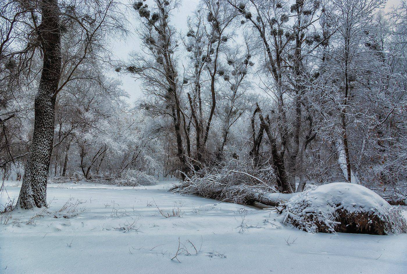 , Игорь Мелекесцев