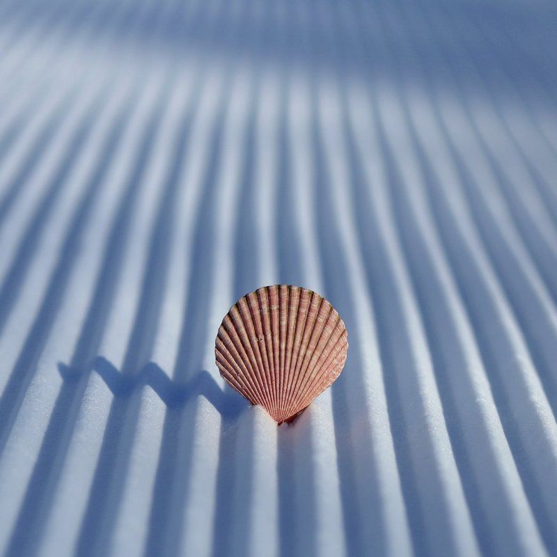 Своя колея. фото превью