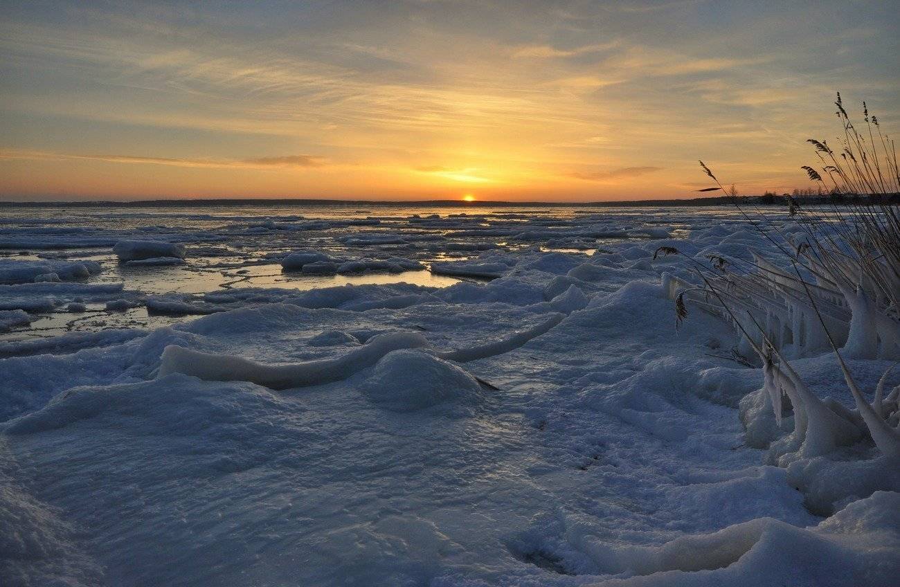 , Володимир Карчевський