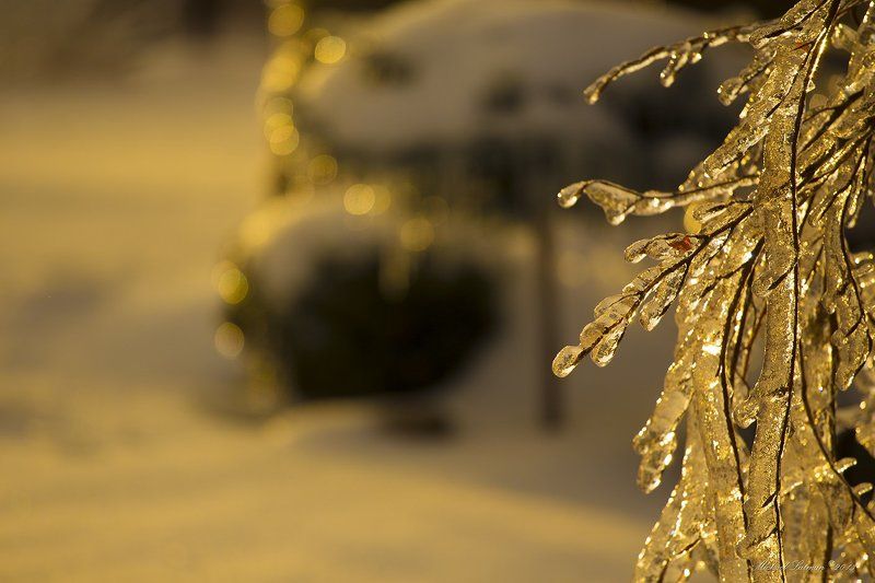 Icy tenderness фото превью