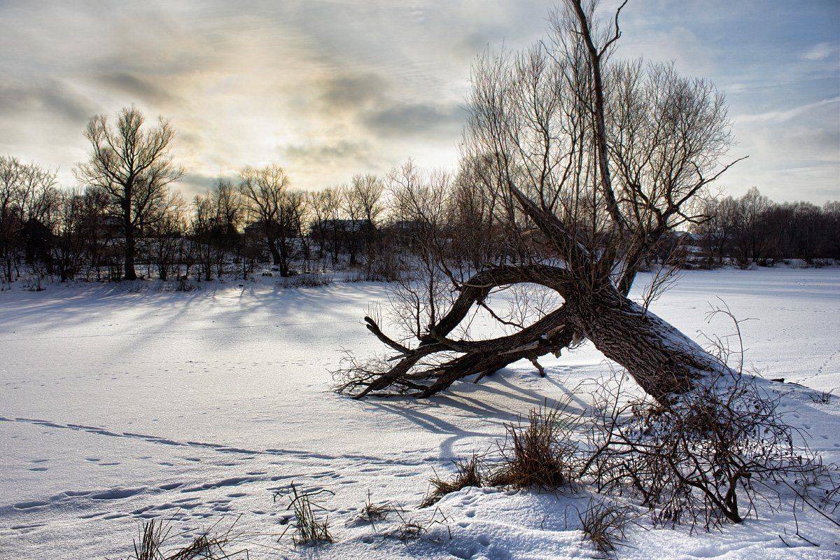 , Александр