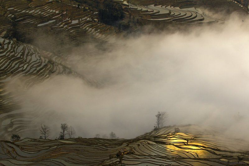 MAGIC LAND фото превью