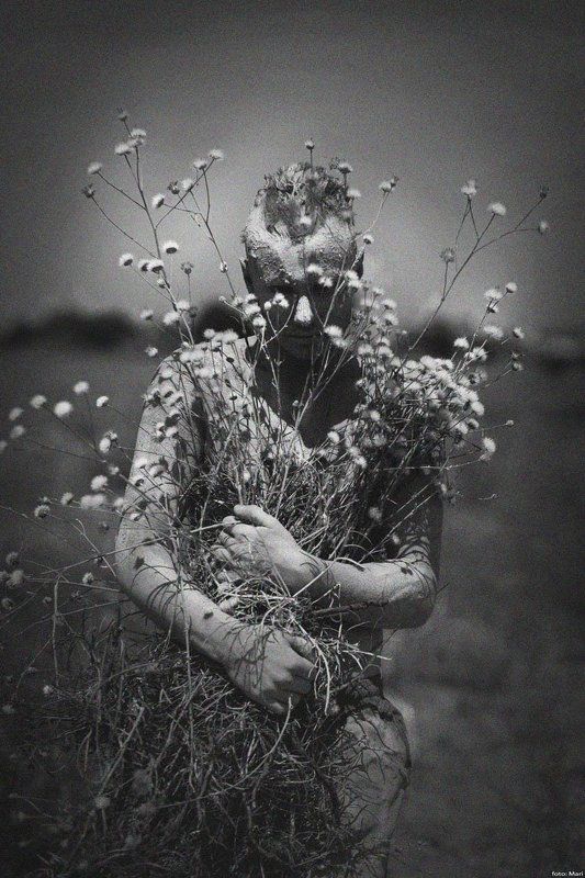 я собрал тебе цветы .. фото превью