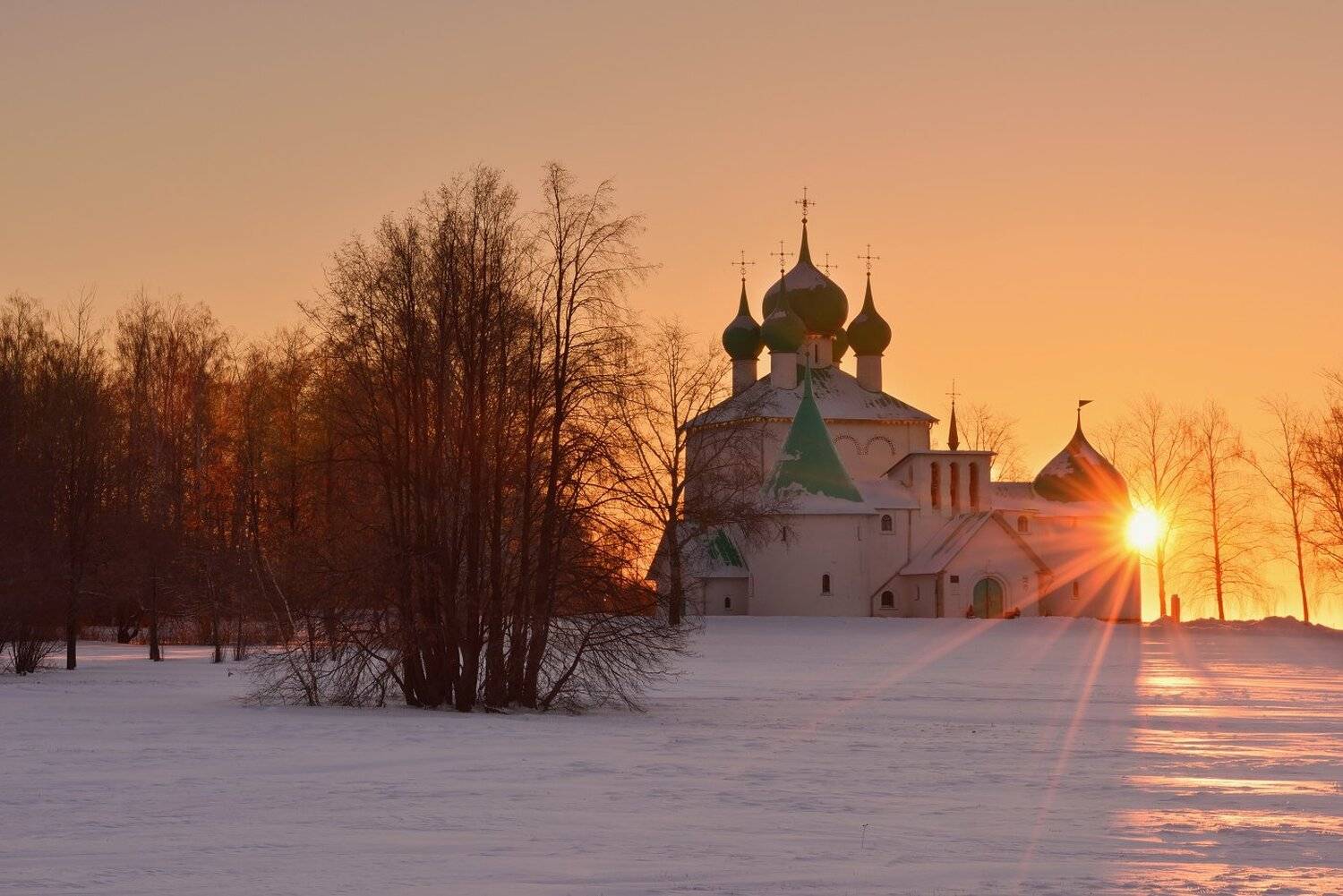 , Максим Евдокимов