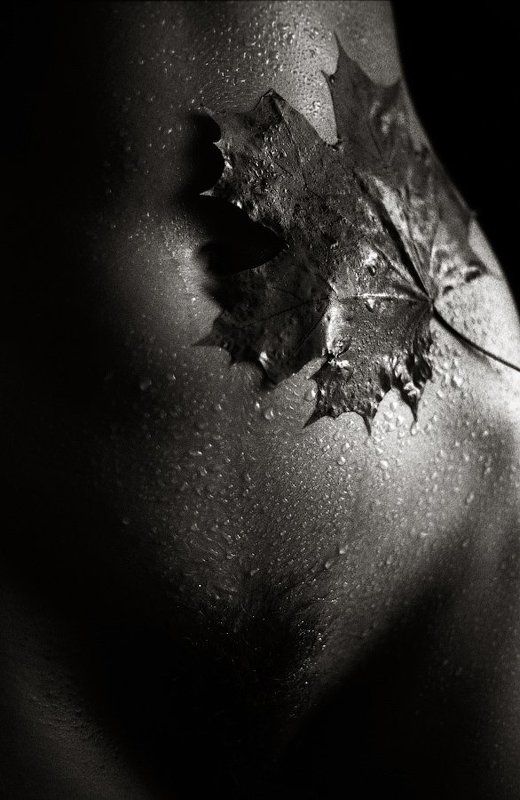 Девушка, Дождь, Живот, Клен, Кленовый лист, Ню, Осень Осенний этюд фото превью