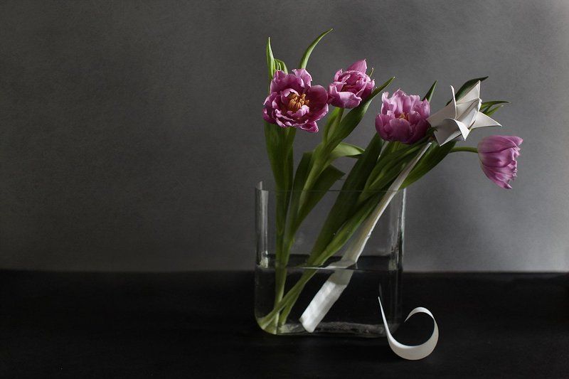 Из другого теста фото превью