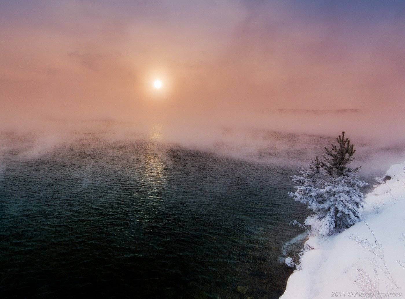 , Алексей Трофимов