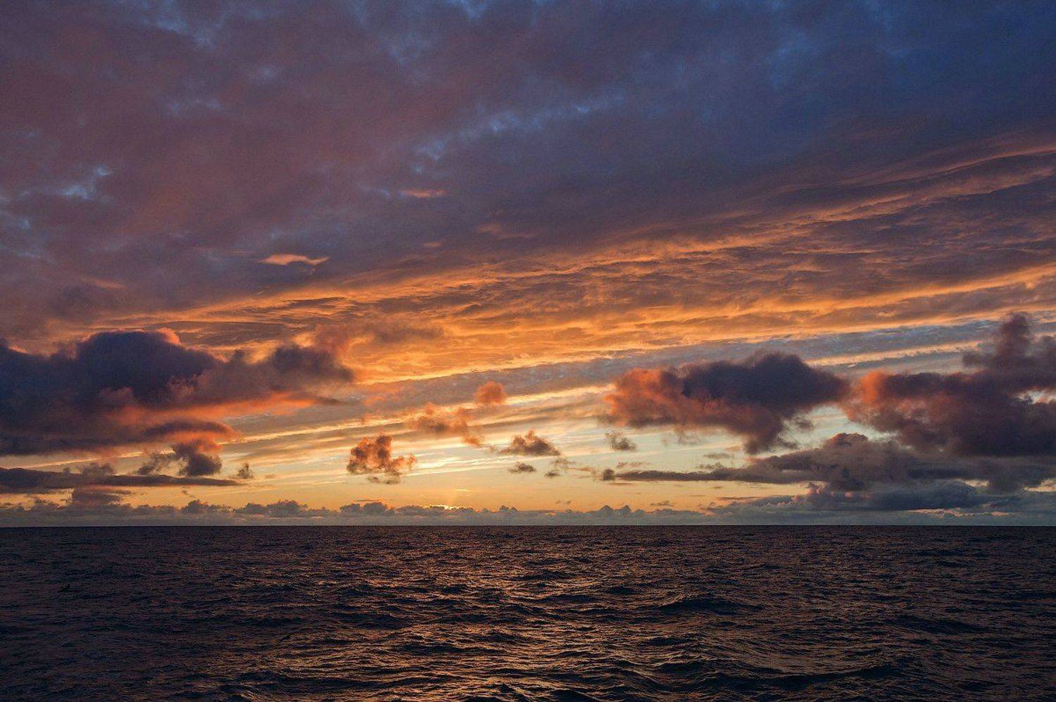 , Игорь Подгорный