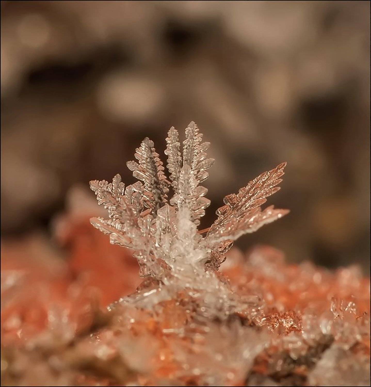 , Андрей Осокин