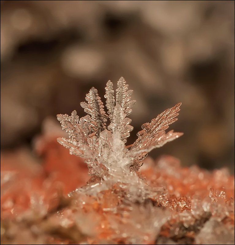 Не театральное чтиво... фото превью
