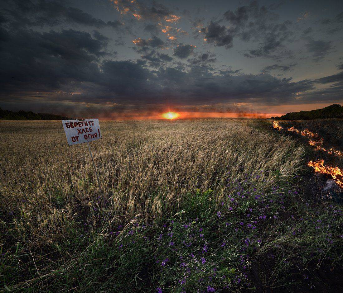 , Дeнис Бoдрoв