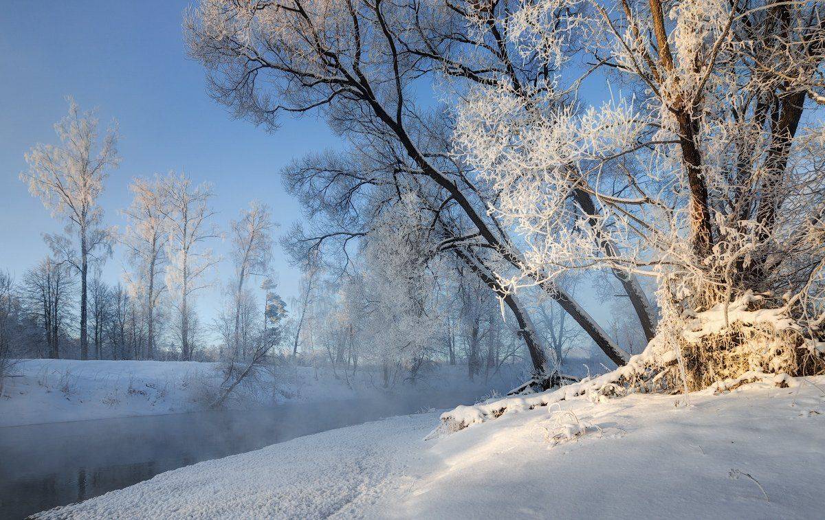 , Денис Сорокин