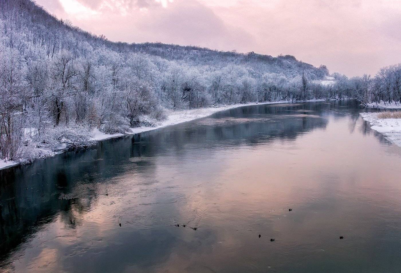 , Игорь Мелекесцев